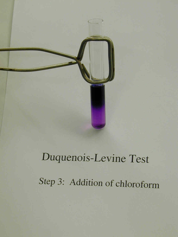 Ein Glasreagenzglas mit violetter Flüssigkeit, das auf einem Papier mit der Aufschrift "duquenois-levine-Test Schritt 3 Zugabe von Chloroform" steht.