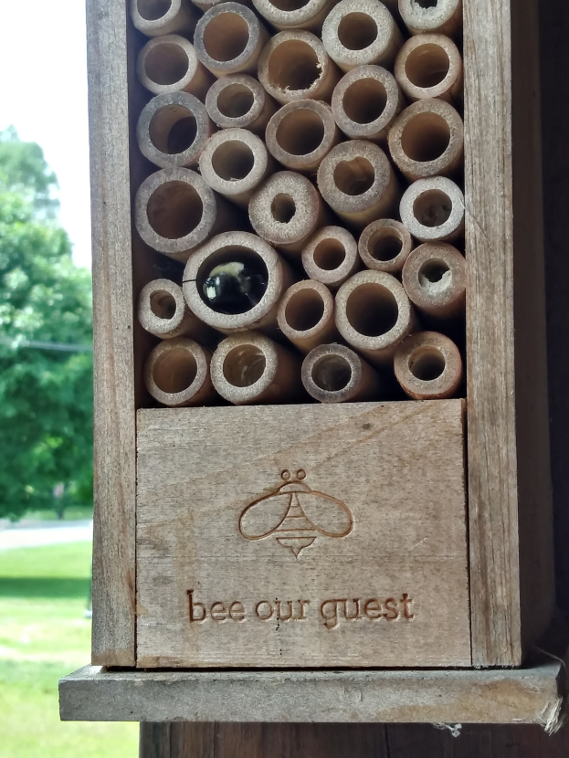 Ein hölzernes Bienenhotel mit der Aufschrift "bee our guest", umgeben von Bäumen und Gras.