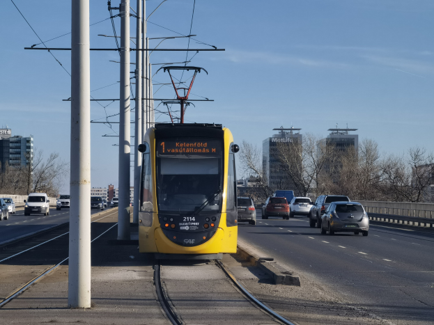 Eine gelbe Straßenbahn fährt auf einer Stadtstraße mit Autos, Strommasten mit Drähten, Bäumen, Gebäuden und einem klaren blauen Himmel im Hintergrund.