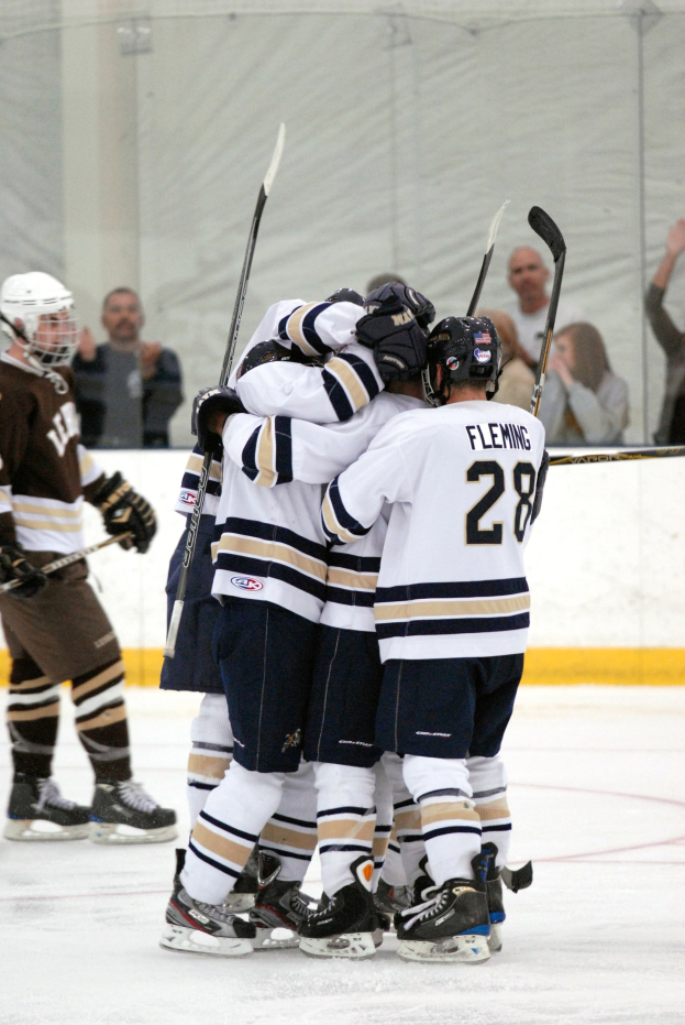 Gruppe von Eishockeyspieler auf einem Eisplatz mit Uniformen, Helmen, Handschuhen und Schlittschuhen, die Hockeystöcke halten, mit Zuschauern und einem Netz im Hintergrund.