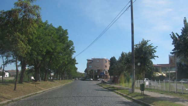 Eine belebte Straße mit Fahrzeugen, gesäumt von Gras, einem Zaun, Strommasten mit Drähten, Bäumen, Bänken und Gebäuden mit Fenstern unter einem hellblauen Himmel.