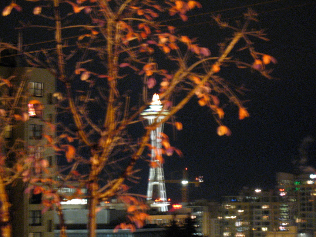 Ein Baum steht im Vordergrund mit beleuchteten Gebäuden im Hintergrund bei Nacht.