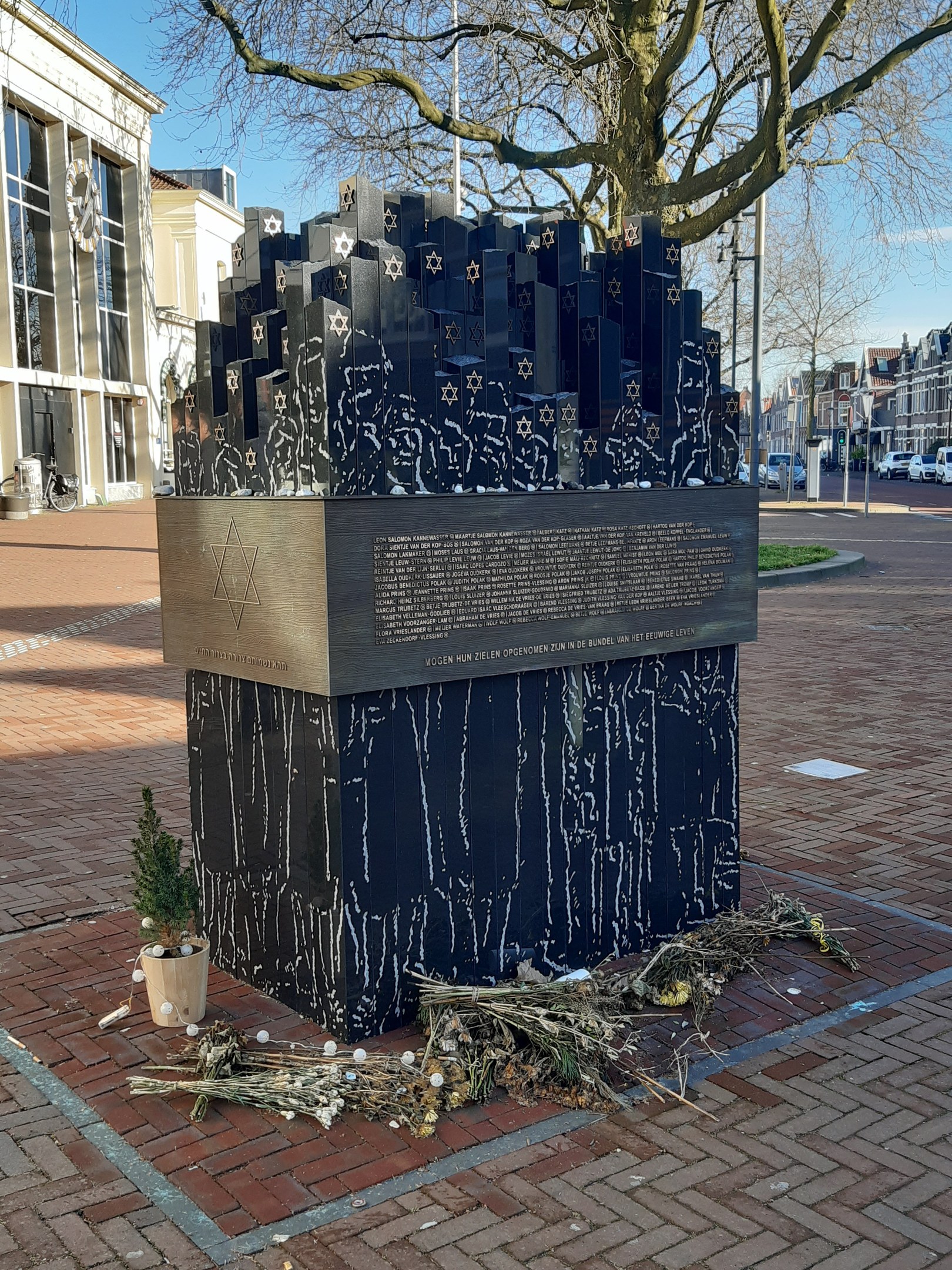 Denkmal in einem Stadtplatz für Holocaust-Opfer, mit einem Baum davor, einem Topfgewächs, verstreuten trockenen Blättern und Gebäuden, Fahrzeugen, Pfählen und Bäumen im Hintergrund.
