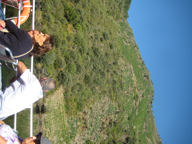 Ein geneigtes Bild eines großen Berges mit einem Fluss davor, einem Boot, das auf dem Fluss segelt, und Touristen, die die Aussicht vom Boot aus genießen.