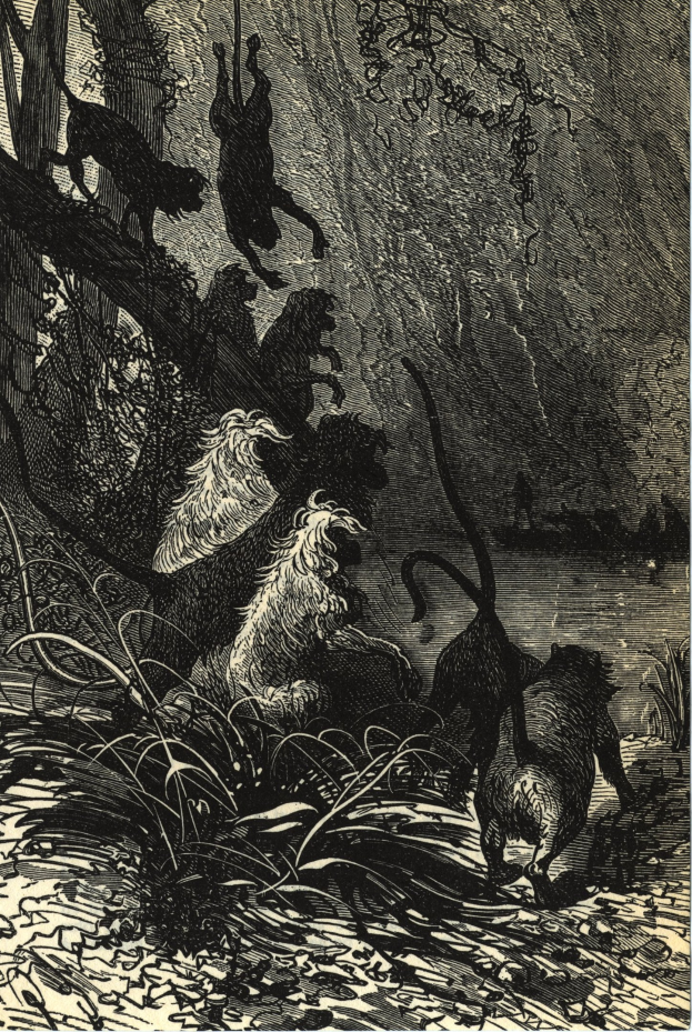 Schwarze und weiße Illustration einer Gruppe von Löwen in einer Dschungelumgebung mit dichter Vegetation, die den Text 'Der König der Löwen' unten zeigt.