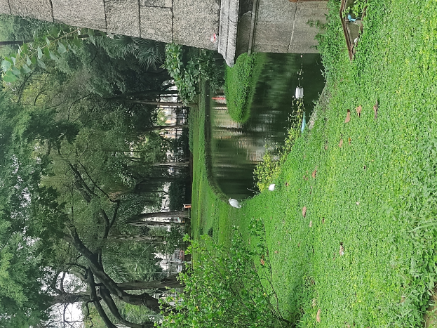 Ein Park mit grünem Gras, Bäumen, Pflanzen, trockenen Blättern, einem kleinen Teich, Gebäuden im Hintergrund und einem klaren blauen Himmel.