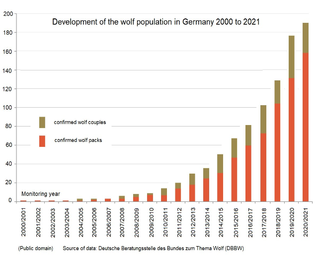 Liniengraph, der das Wachstum der Wolfpopulation in Deutschland von 2000 bis 2021 zeigt, mit begleitendem erklärendem Text.