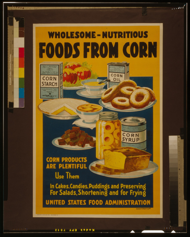 Buntes Plakat aus den USA mit Bildern von Obst, Gemüse, Getreide und Milchprodukten und der fetten schwarzen Schrift 'Gesunde-Nährstoffreiche Lebensmittel aus Mais' auf einem hellblauen Hintergrund.
