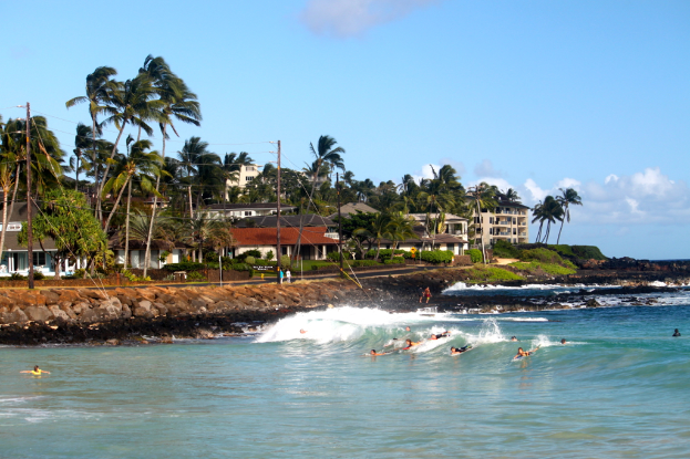 Eine Gruppe von Menschen, die in einem Gewässer umgeben von Steinen, Pflanzen, Gras, Bäumen, Gebäuden und Mästen mit Lichtern und Kabeln unter einem klaren Himmel schwimmen.