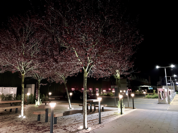 Ein Park bei Nacht mit beleuchteten Bäumen, Bänken, Laternen, Pflanzen, Fahrzeugen und Gebäuden unter einem dunklen Himmel, der eine friedliche Atmosphäre schafft.