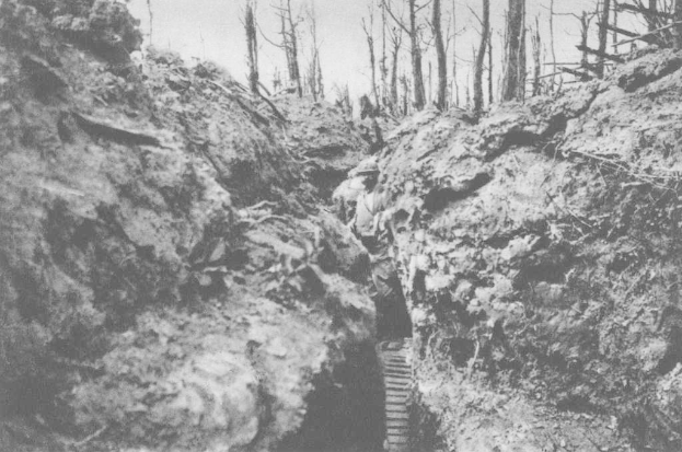 Ein Mann steht in einer schwarz-weißen Waldszene mit Bäumen oben im Bild.