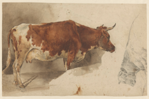 Eine braune und weiße Kuh steht aufrecht mit erhobenem Kopf und gespitzten Ohren neben einer anderen Kuh, die wegschaut, beide auf einem Blatt Papier mit Text.