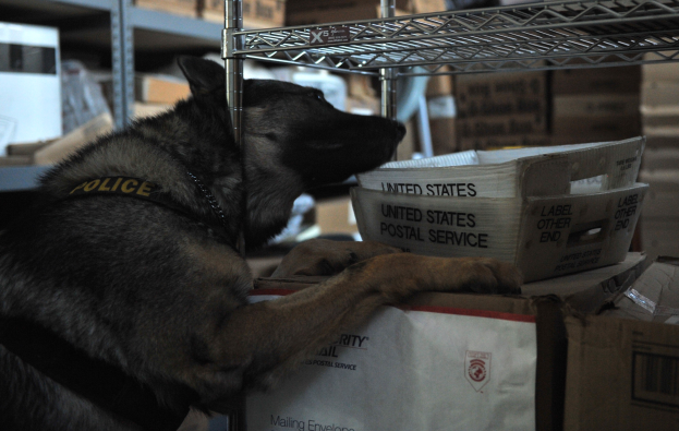 Polizeihund auf einem Stapel Kisten in einem Lager liegend, umgeben von Kartonagen auf Regalen.