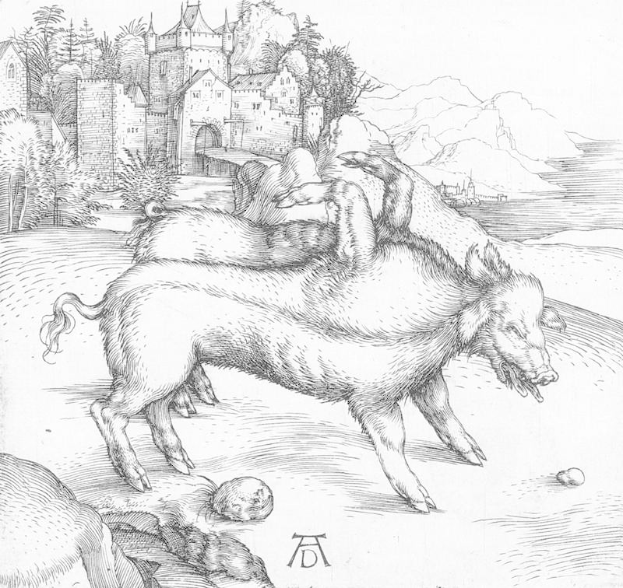 Eine Schwarz-Weiß-Zeichnung von zwei Schweinen in einem Feld mit einem Schloss, Bäumen, Hügeln und einem Gewässer im Hintergrund, betitelt mit "Albrecht Dürer - Die drei Eber".